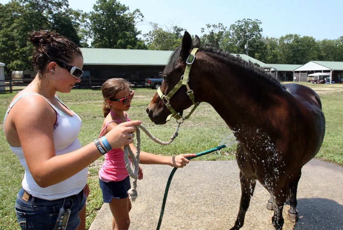 Cape May County 4-H Fair has a little something for everyone