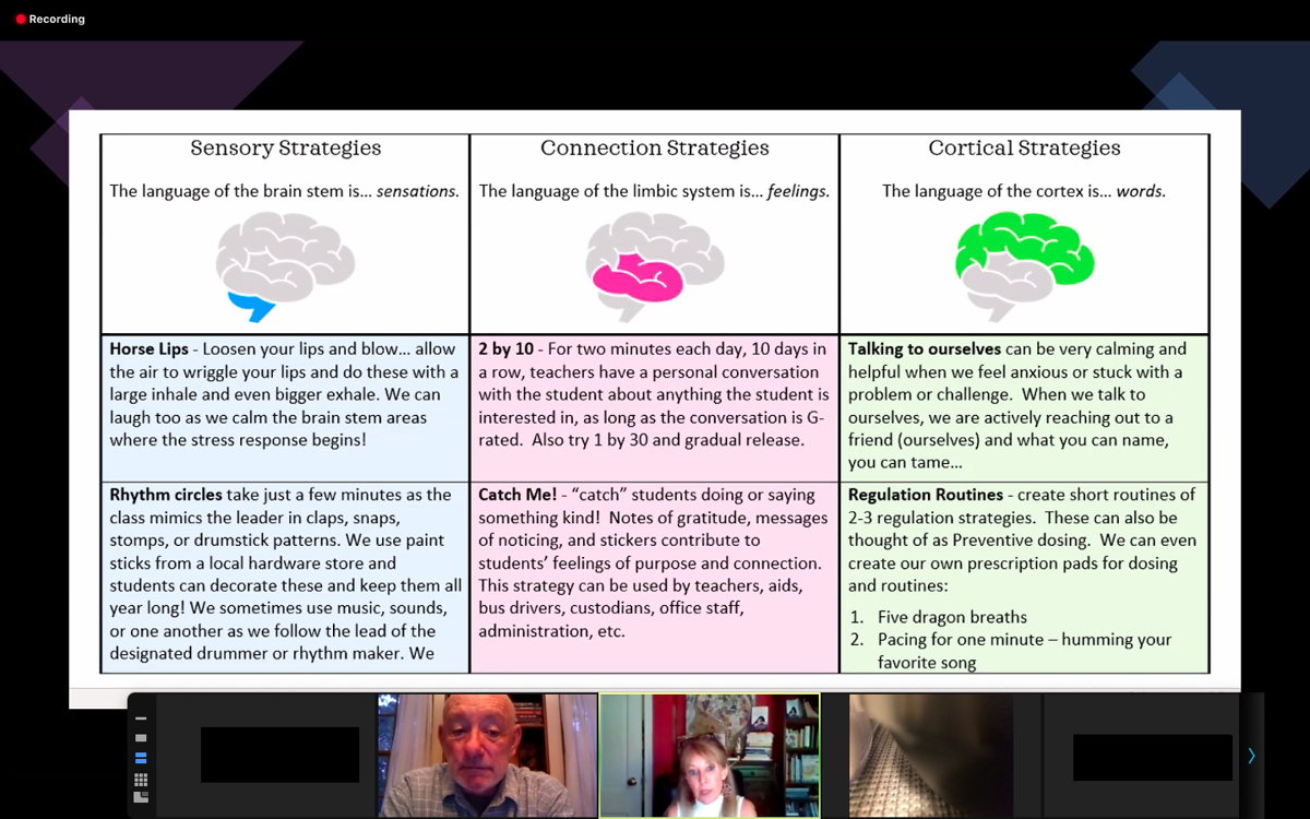 A screen shot from the COVID-19 parenting seminar