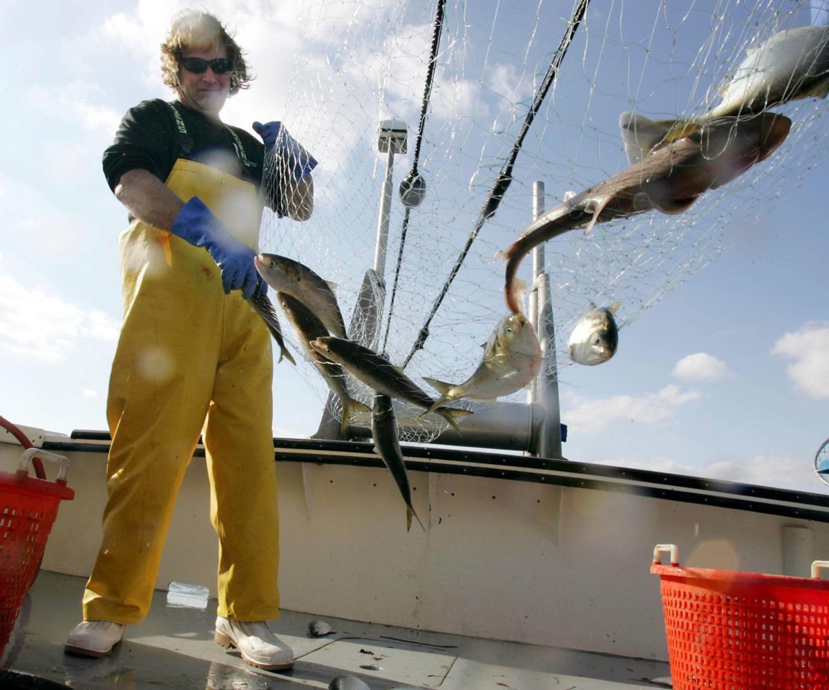 Which Jersey Shore fishers will be hurt most by climate change?