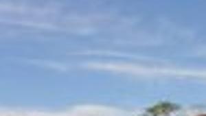 Atlantic City Chef Takes His Chicken And Waffles Fight With Ihop To The Streets Of Mays Landing Lifestyles Pressofatlanticcity Com