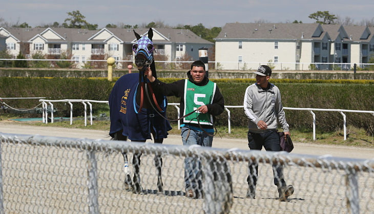 Day at the Races