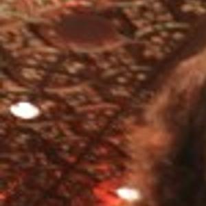 Satellite poker tournaments near me today