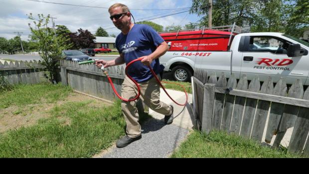 Better Termite Killers Help And Hurt South Jersey Pest Control Companies Business Pressofatlanticcity Com
