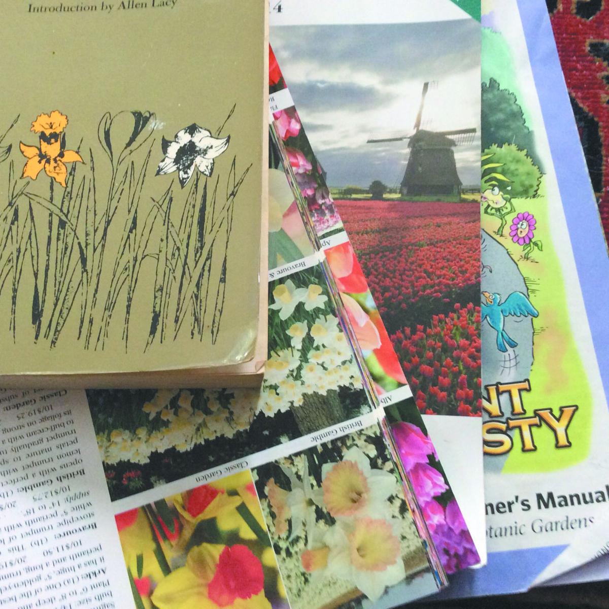 Catalogs offer a bright spot for bulb enthusiasts