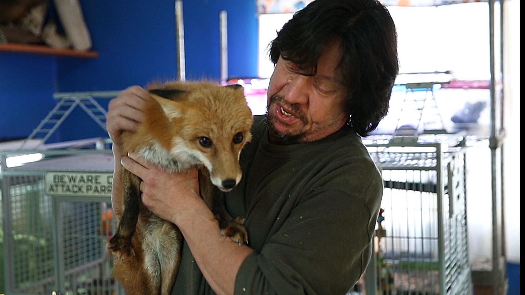 Nj Nature Animal Rescue Photo Galleries Pressofatlanticcity Com