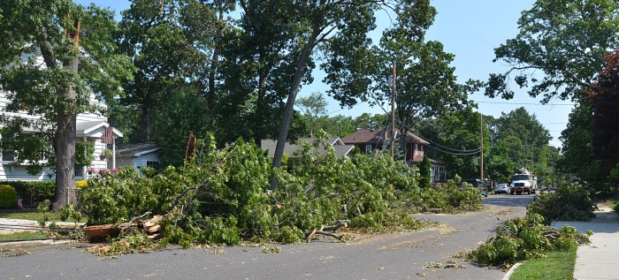 storm cleanup