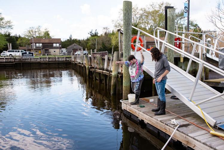 Fish Monitoring Study Gives Students Data to Explore