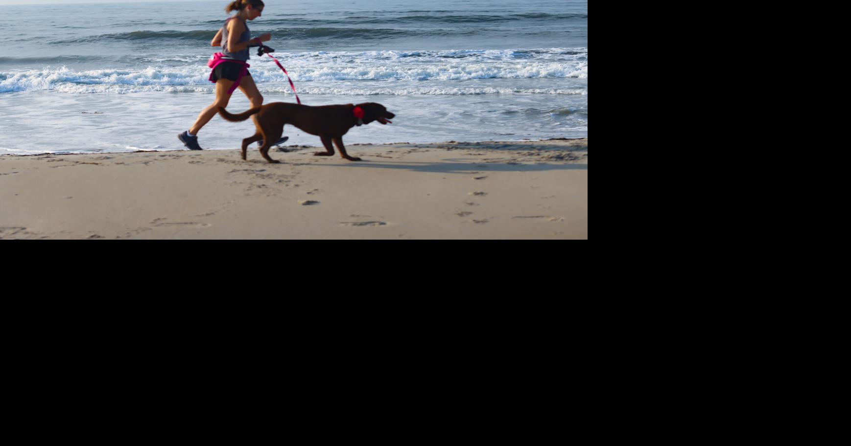 Update to Longport dogsonthebeach rule breeds Downbeach debate