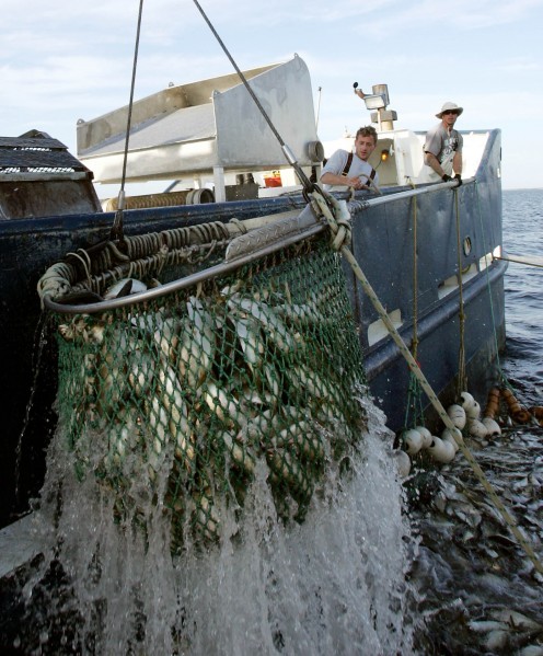 Day One: An old-school fishery: Elusive bunker make high-tech gadgets ...