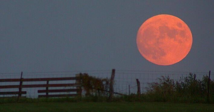 Space will have such sights to show you these next two weeks: Sky Watch