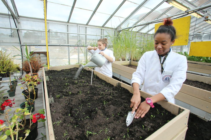 GREEN EDUCATION