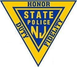 New Jersey State Police window decal OFFICIAL NJSP NJ Blue Line triangle 