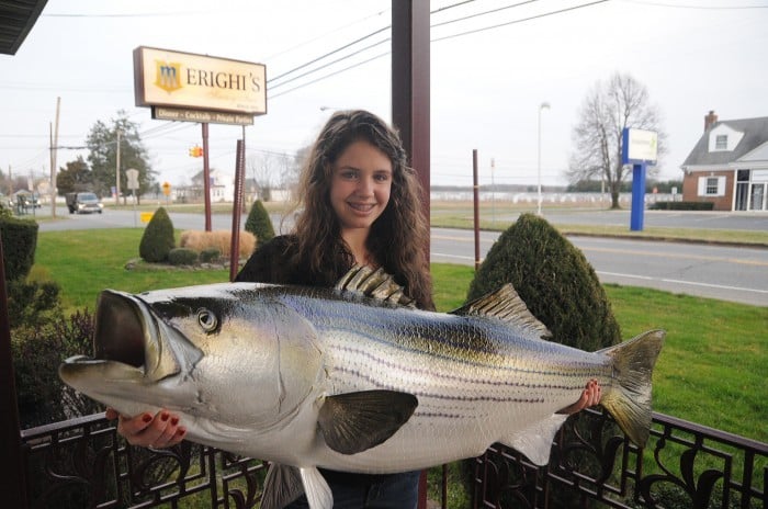 It's official: Vineland girl's 58.29-pound striped bass is a world record