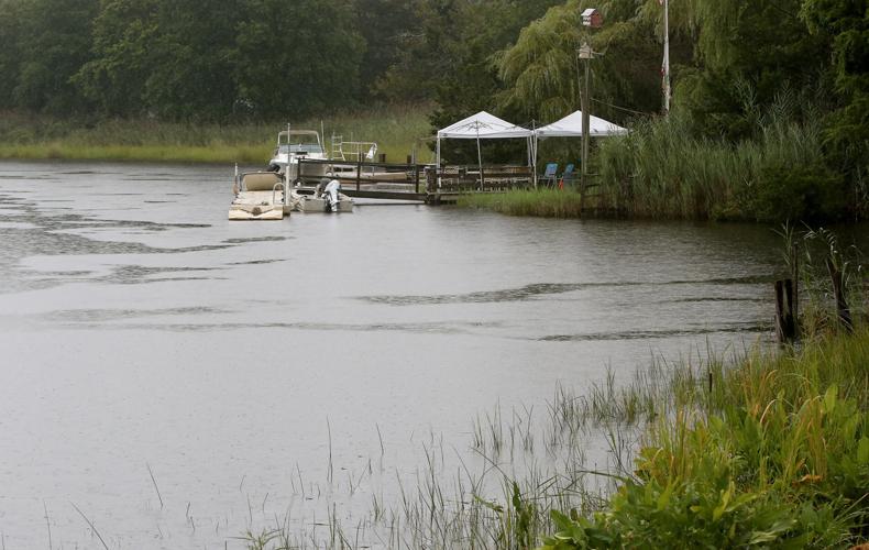 Along the Tuckahoe River, a hidden world revealed
