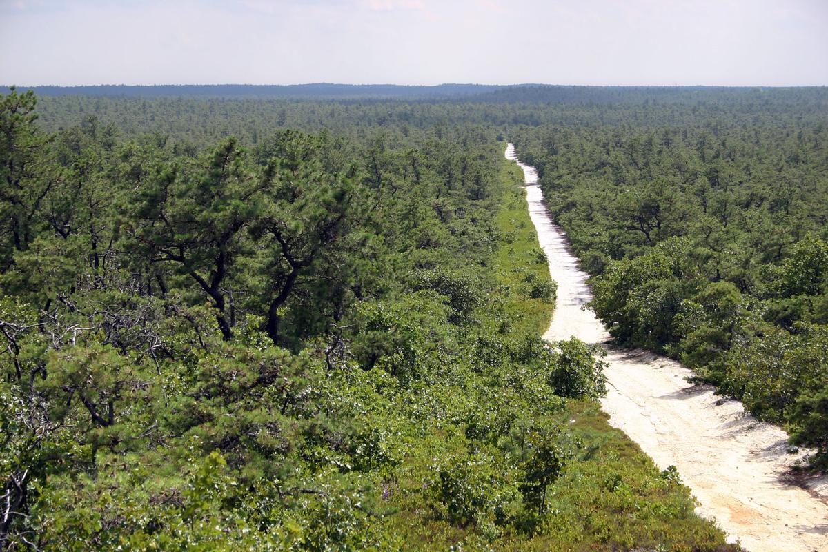 West Pine Plains in Pinelands Commission wall calendar for 2018