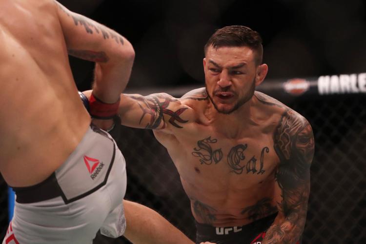 UFC Fight Night