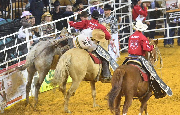 friday night rodeo