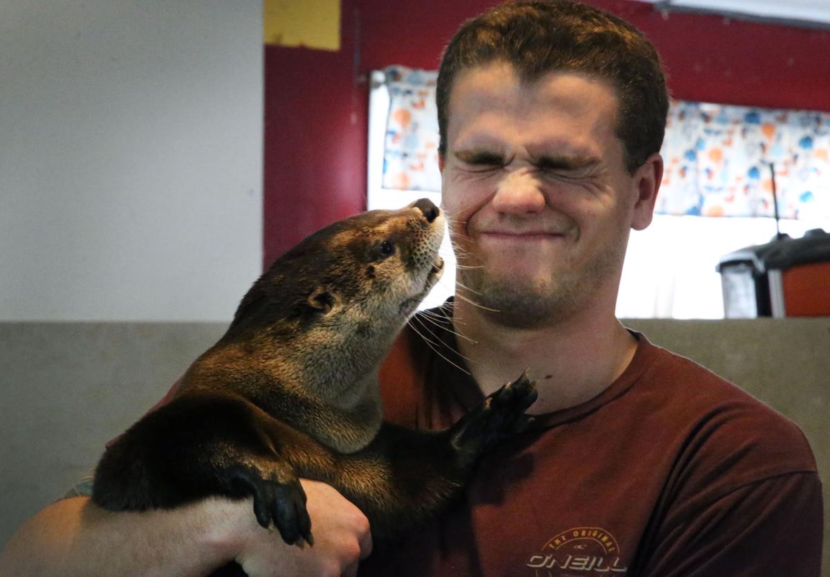 NJ Nature Animal Rescue