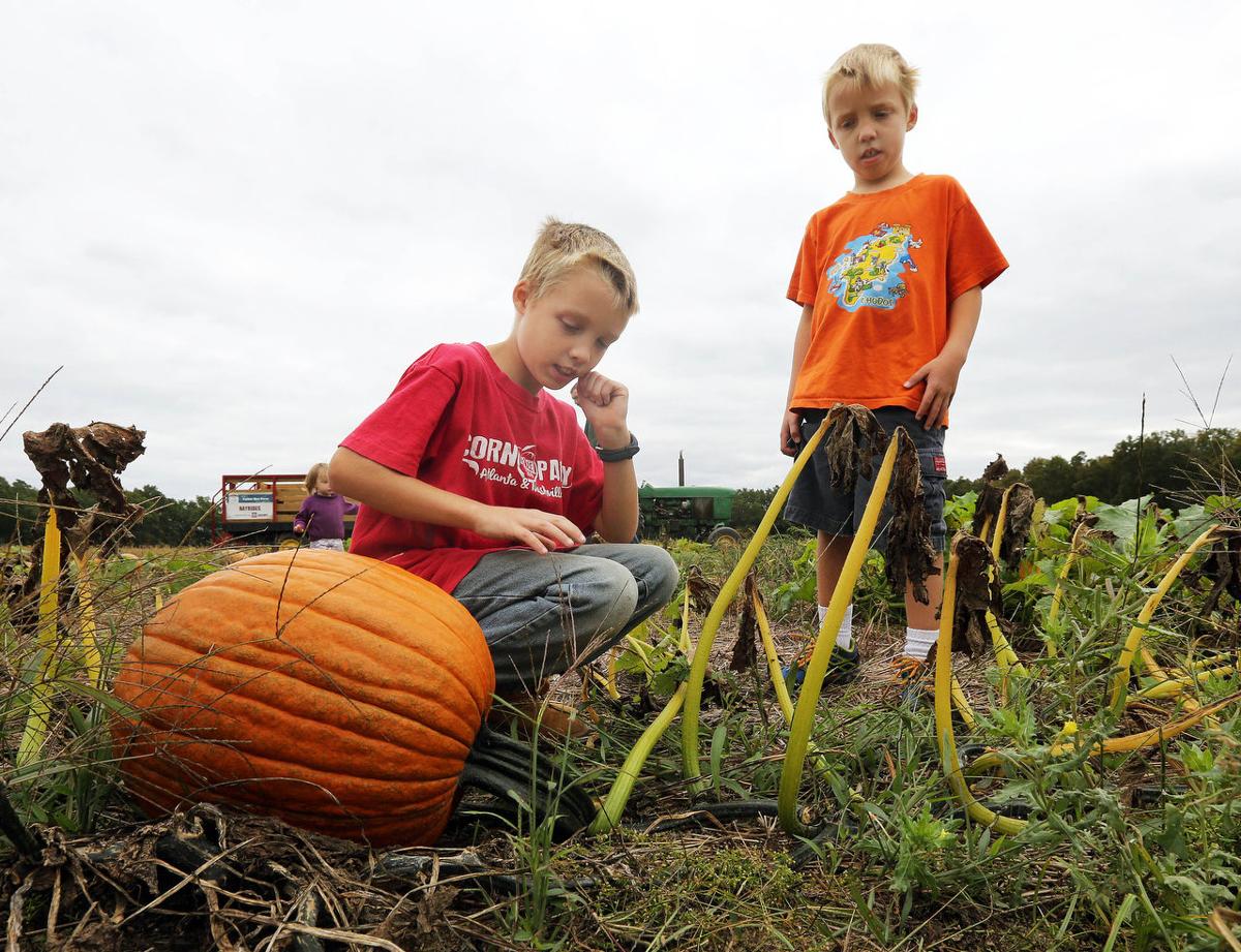 Dry Summer Had Its Benefits Local Farmers Say Latest Headlines Pressofatlanticcity Com