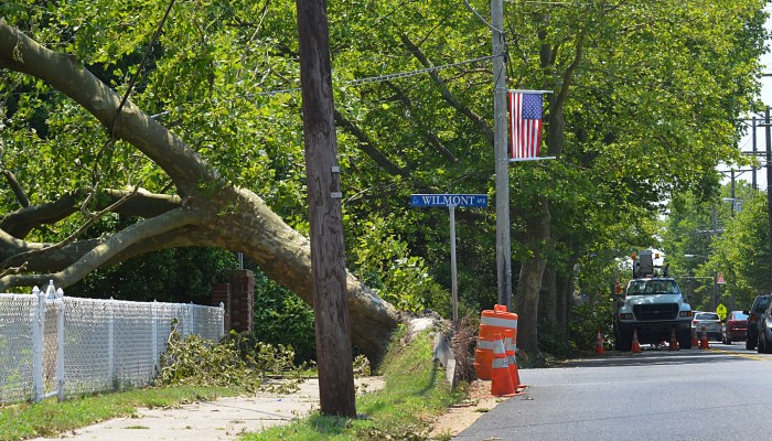 storm cleanup