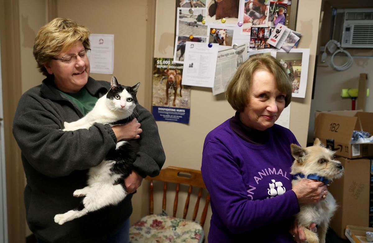 Volunteers of Beacon Animal Rescue help keep cats and dogs ...