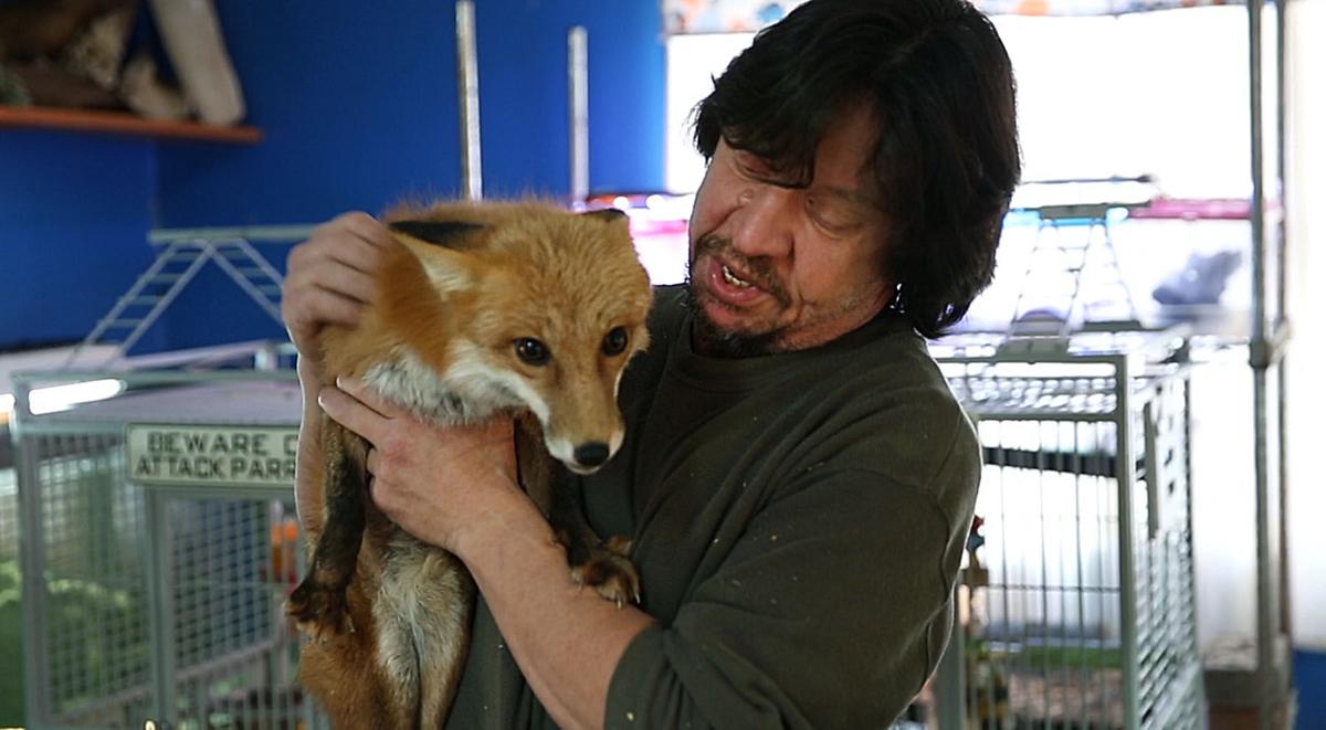 NJ Nature Animal Rescue
