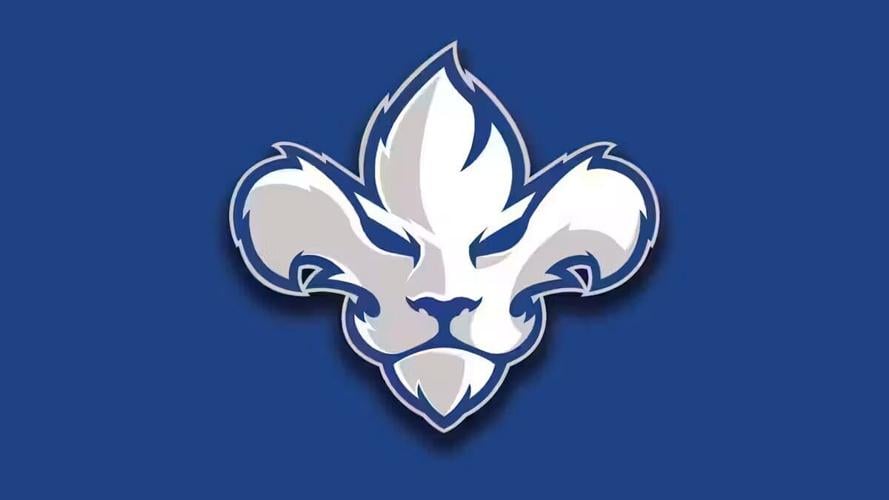Tesink agrees to terms with Lions