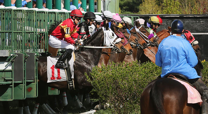 Day at the Races