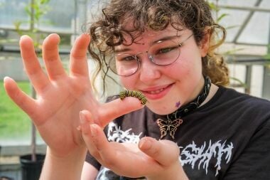 Renovated Greenhouse Now Home to Butterfly Habitat Created to Give Endangered Species Safe Space to Thrive