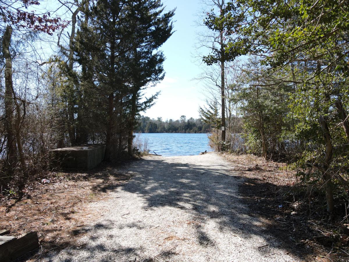 Weather Killing freeze likely for some Friday, warming into the weekend