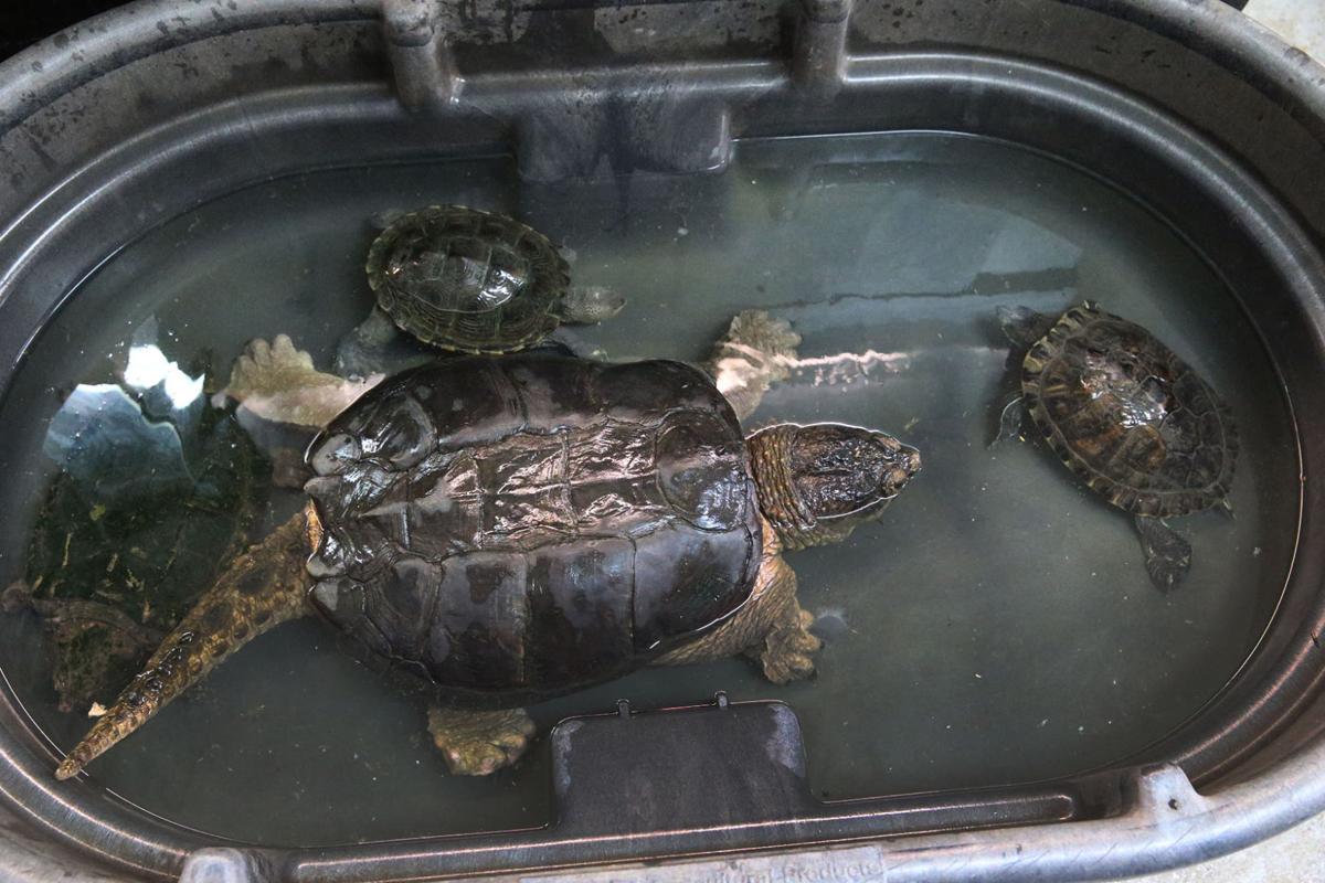 NJ Nature Animal Rescue