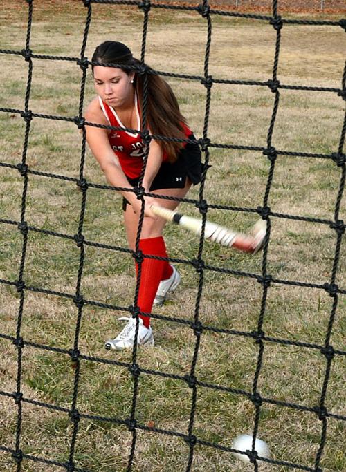 emily demarco