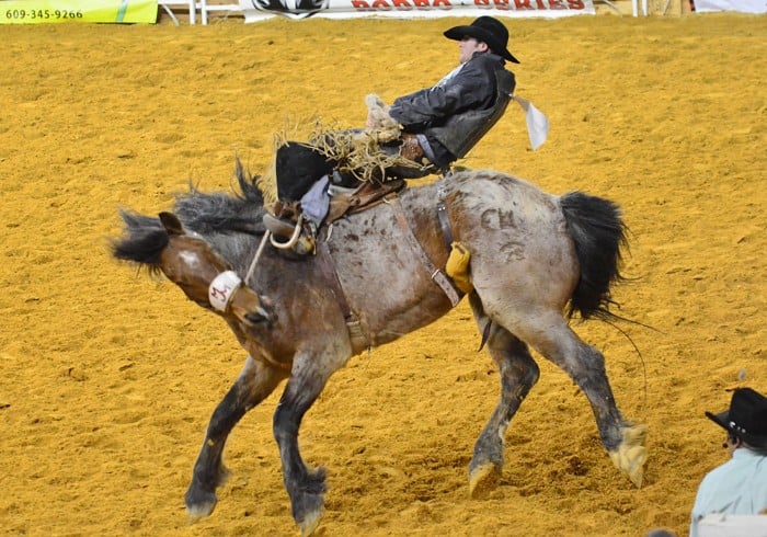 rodeo last day