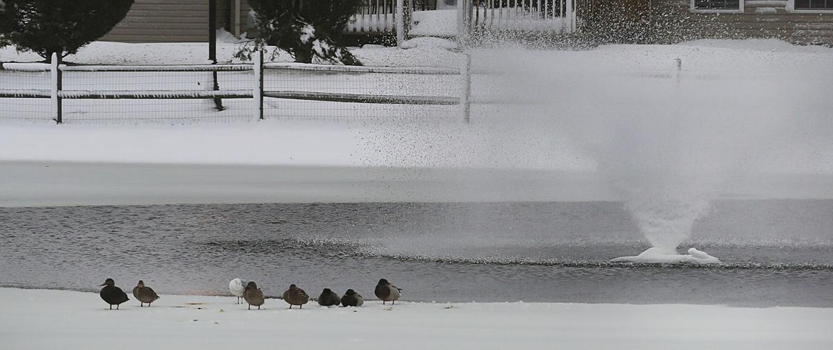 Snow storm coverage