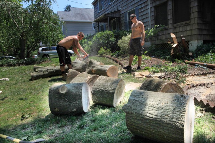 Storm Damage Sunday