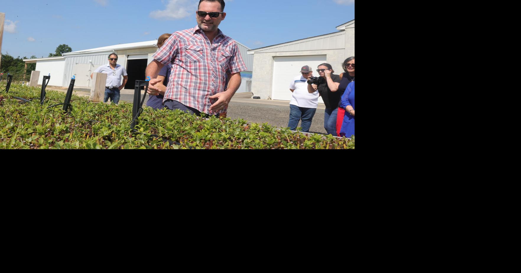 Visit to Hammonton farm highlights scale of blueberry business in NJ