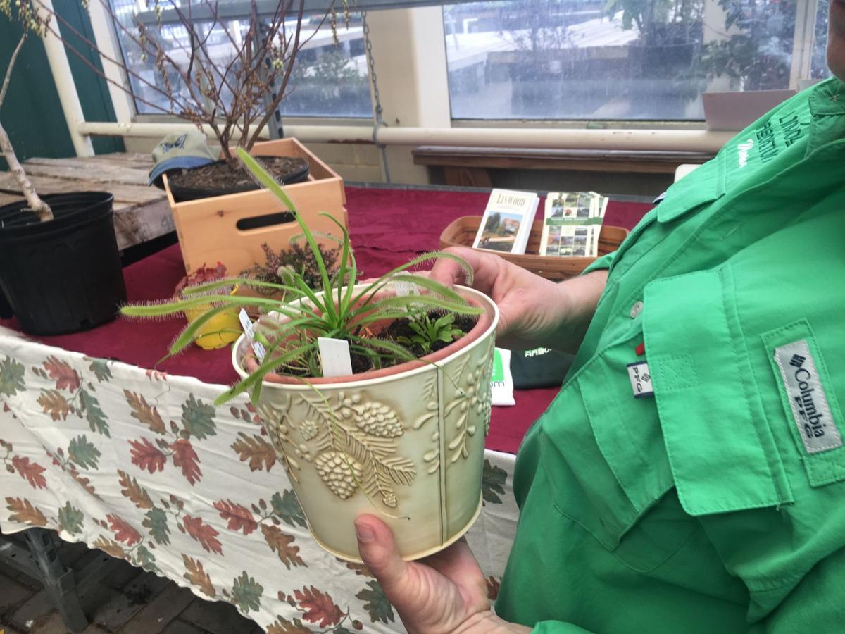 Somers Point Garden Center Welcomes Green Groups At Start Of