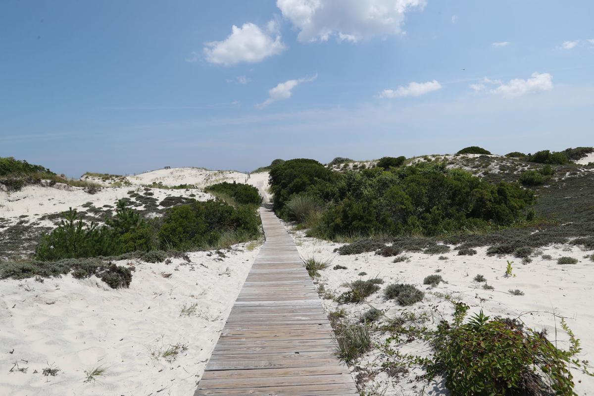 Barnegat Light Mostly Sunny Sand Dunes