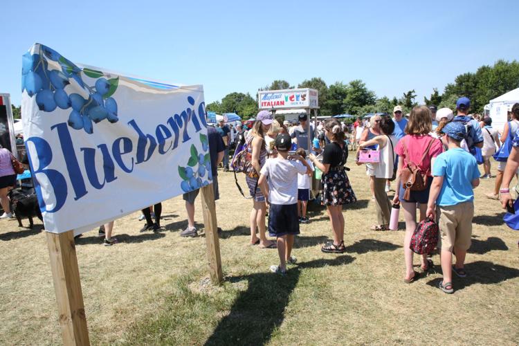 Blueberry festival in Hammonton mix of food, fun and patriotism