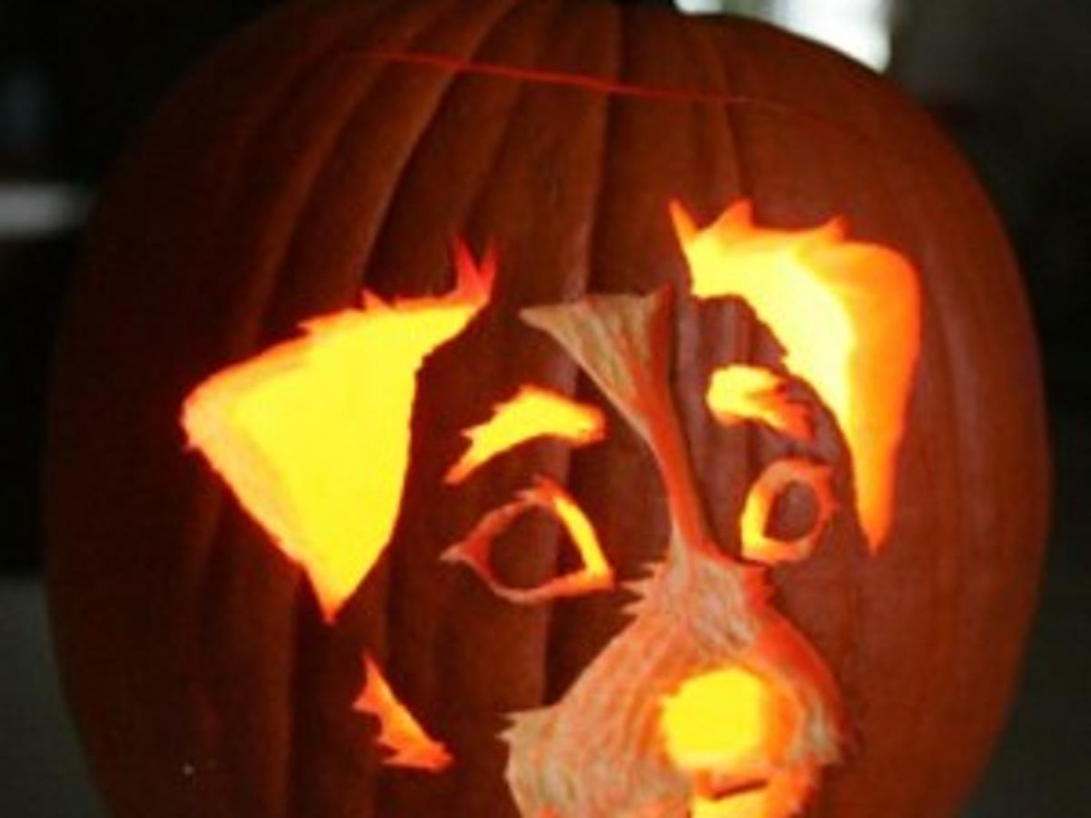 Make A Fetching Jack O Lantern Archive Pressofatlanticcity Com