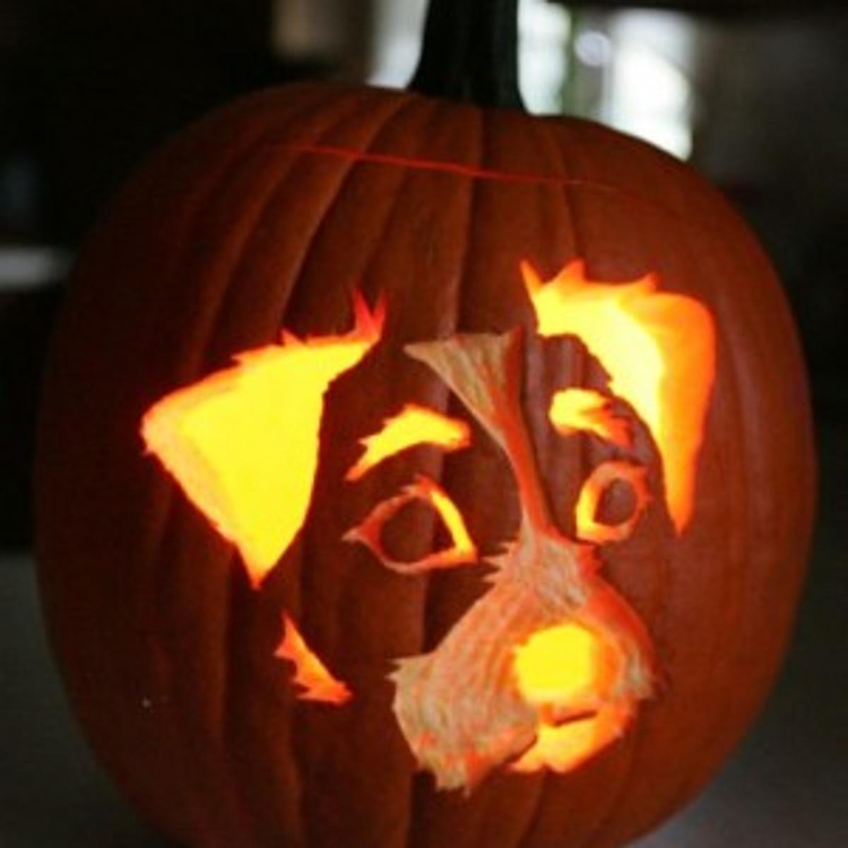 Make A Fetching Jack O Lantern Archive Pressofatlanticcity Com