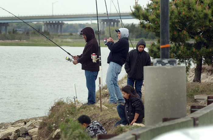 fish advisories