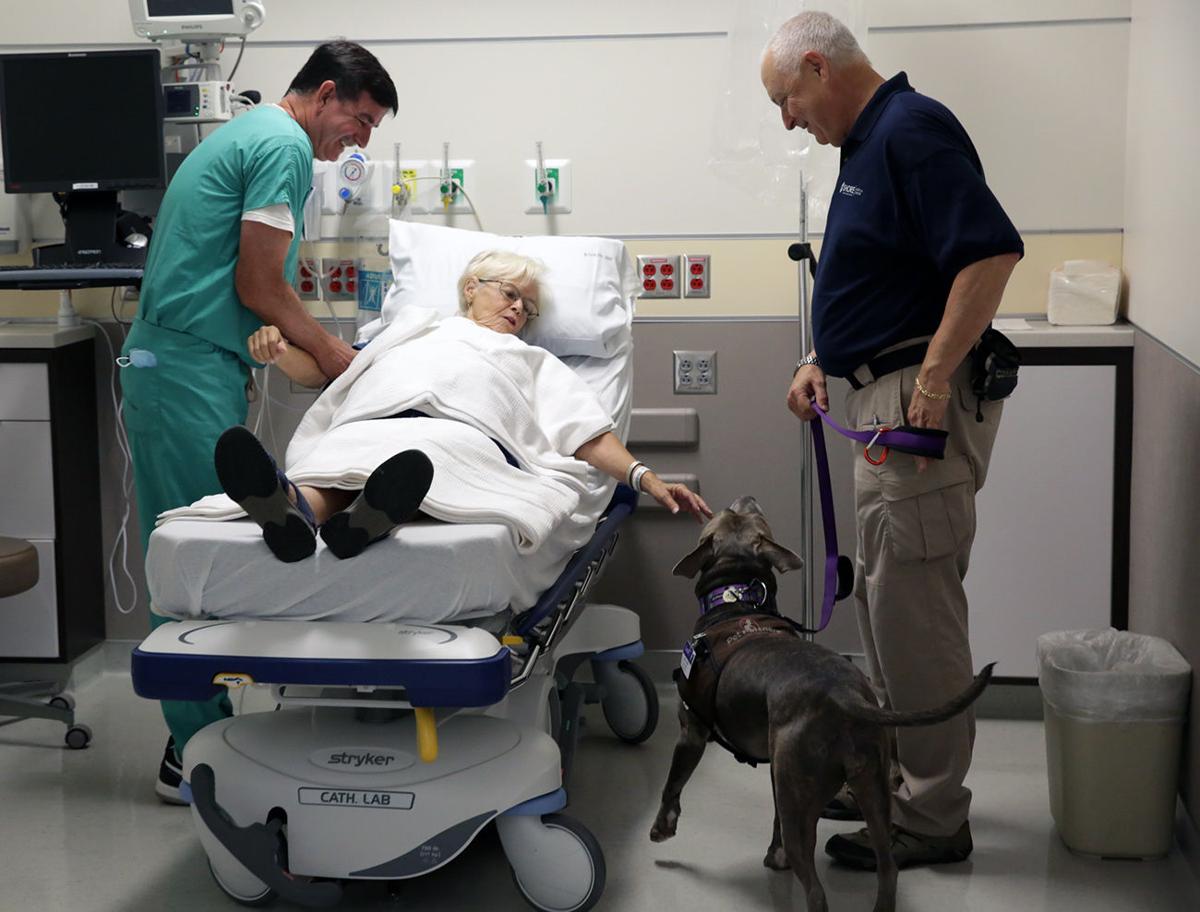 Hospital therapy dogs deliver man's best medicine Lifestyles