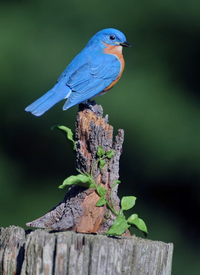 Bluebirds как удалить из дисковода