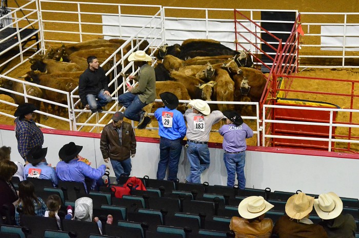 friday night rodeo