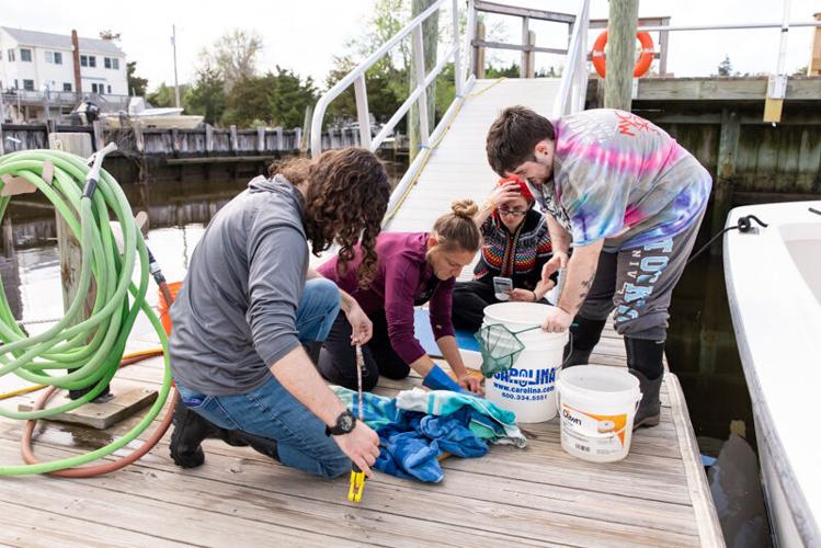 Fish Monitoring Study Gives Students Data to Explore