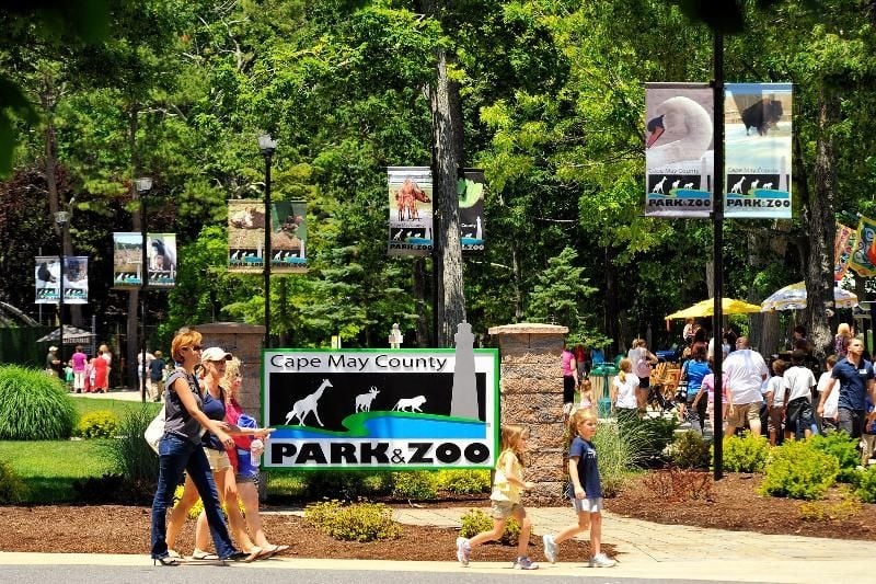 Top 5 things to do at Cape May Zoo besides see animals Family Fun