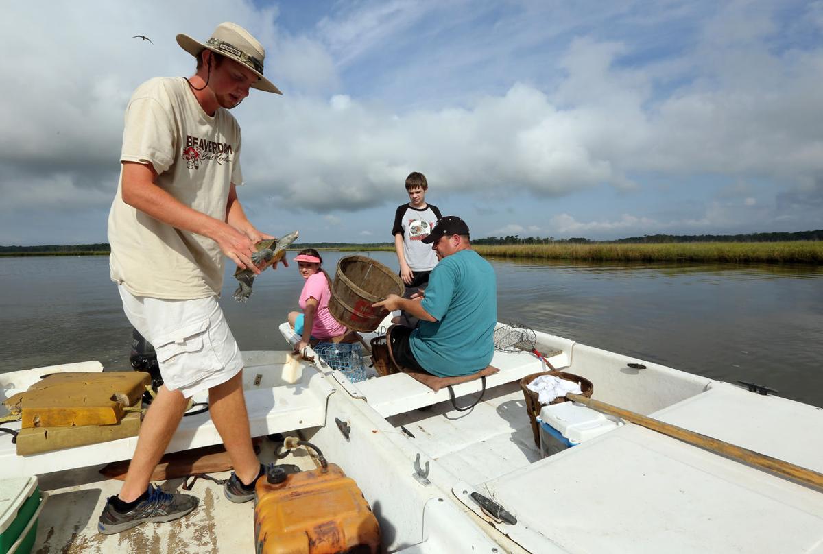Crabbing at Beaver Dam