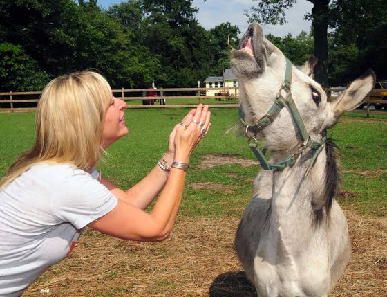 Funny Farm Rescue An Animal Sanctuary Mays Landing Nj - Funny Goal