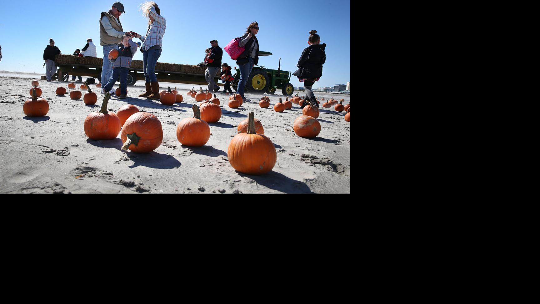 Wildwoods Pumpkin Fest Photo Galleries